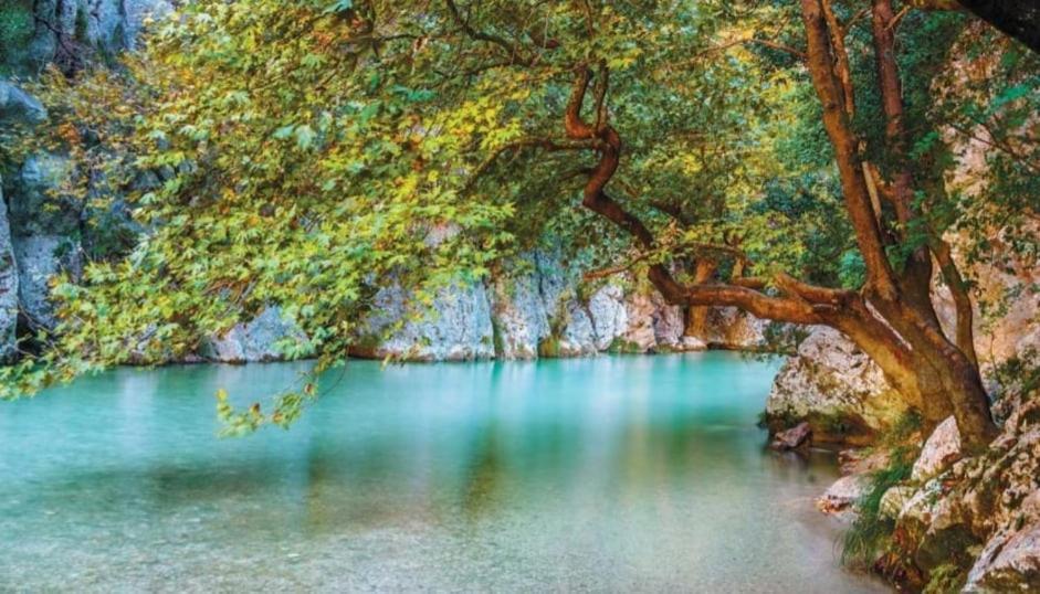 Villa Elli Choika المظهر الخارجي الصورة